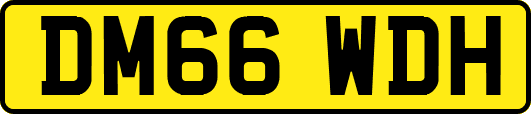 DM66WDH
