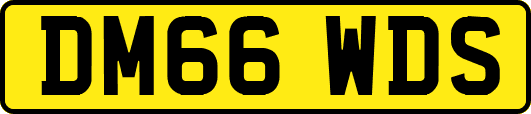 DM66WDS