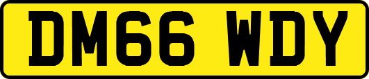 DM66WDY