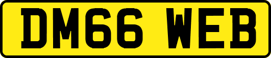 DM66WEB