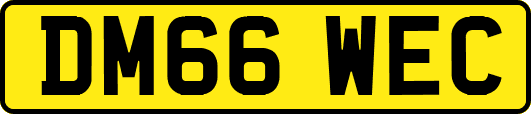 DM66WEC