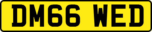 DM66WED