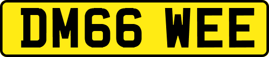 DM66WEE