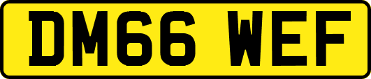 DM66WEF