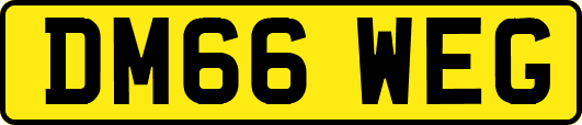 DM66WEG