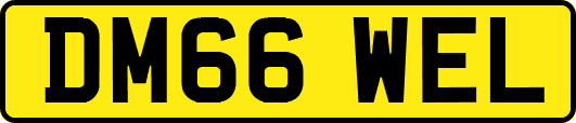 DM66WEL