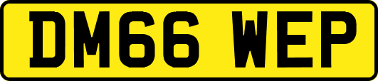 DM66WEP