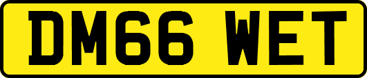 DM66WET