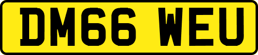 DM66WEU