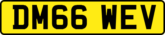 DM66WEV