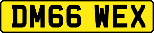 DM66WEX