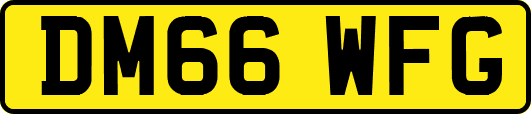 DM66WFG