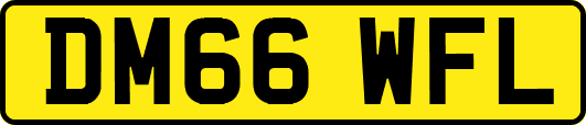 DM66WFL