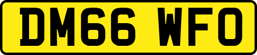 DM66WFO