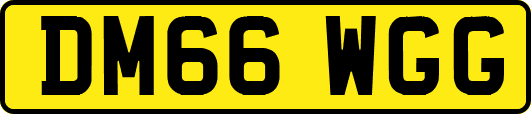 DM66WGG