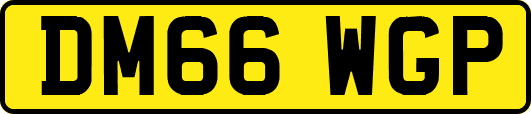 DM66WGP