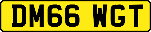 DM66WGT