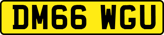 DM66WGU