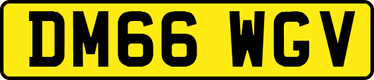 DM66WGV