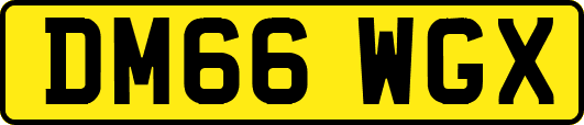 DM66WGX