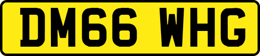 DM66WHG