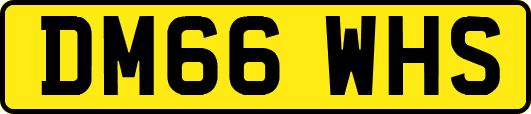 DM66WHS