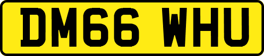 DM66WHU