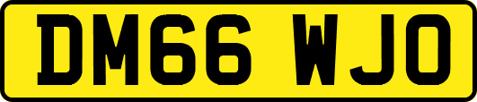 DM66WJO