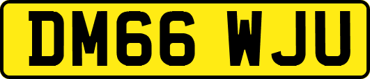 DM66WJU