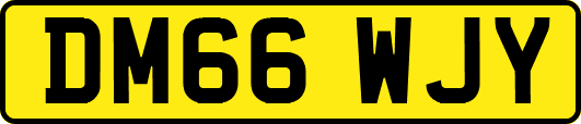 DM66WJY