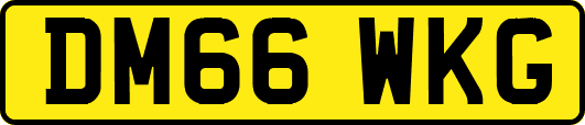 DM66WKG