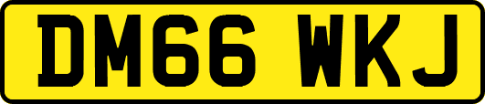 DM66WKJ