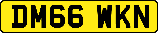 DM66WKN