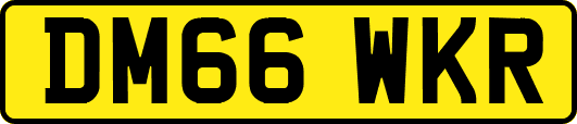 DM66WKR