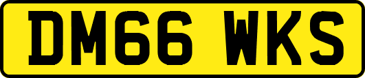 DM66WKS