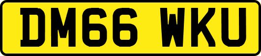 DM66WKU