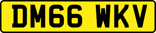 DM66WKV