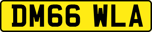 DM66WLA