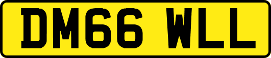 DM66WLL