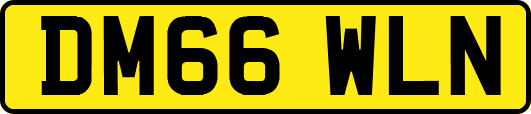 DM66WLN