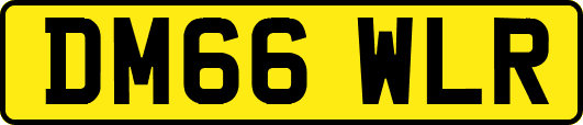 DM66WLR