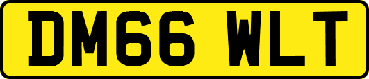 DM66WLT