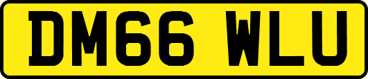 DM66WLU