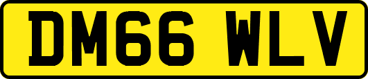 DM66WLV