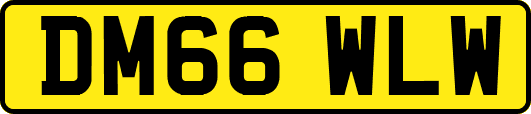 DM66WLW