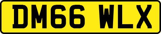 DM66WLX