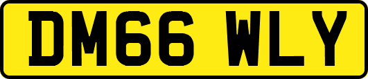 DM66WLY