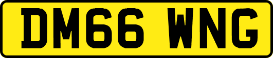 DM66WNG