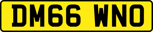DM66WNO