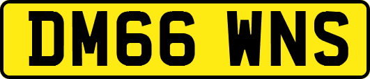 DM66WNS
